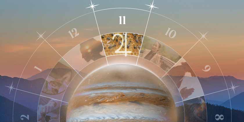 jupiter in 11th house
