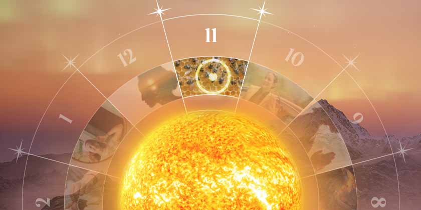 sun in 11th house