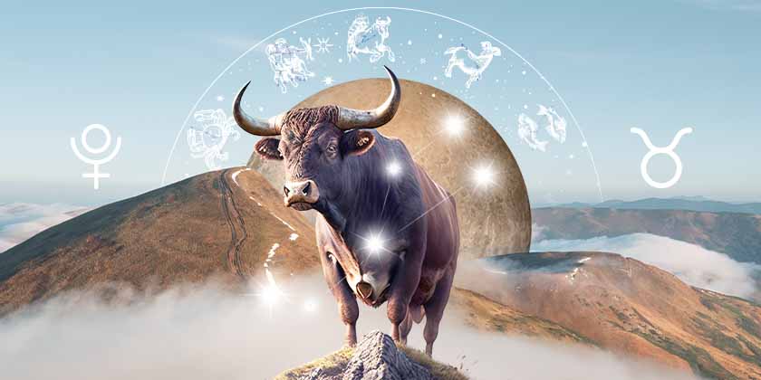 pluto in taurus